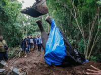 Workers and officials remove the carcass of a 45-year-old female Sumatran elephant named Molly, found dead at a riverbank after being carrie...