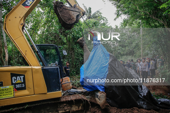 Workers and officials remove the carcass of a 45-year-old female Sumatran elephant named Molly, found dead at a riverbank after being carrie...