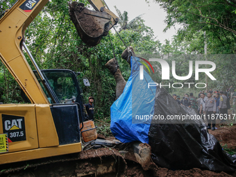 Workers and officials remove the carcass of a 45-year-old female Sumatran elephant named Molly, found dead at a riverbank after being carrie...