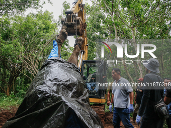 Workers and officials remove the carcass of a 45-year-old female Sumatran elephant named Molly, found dead at a riverbank after being carrie...