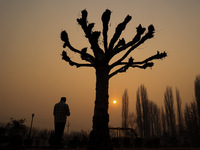 A boy walks as the sun appears on a cold winter day in Baramulla, Jammu and Kashmir, India, on December 17, 2024. (