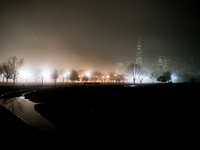 Part of the New York City skyline is seen through dense fog covering Liberty State Park following rainfall in Jersey City, NJ, U.S., on Dece...