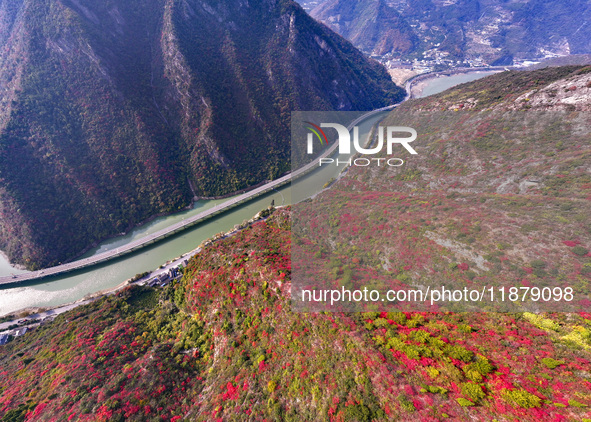 Vehicles drive on the Guzhao water highway in Xingshan County, Yichang City, Central China's Hubei Province, on December 18, 2024. 