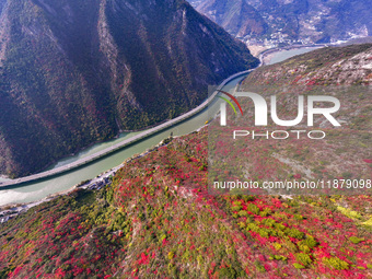 Vehicles drive on the Guzhao water highway in Xingshan County, Yichang City, Central China's Hubei Province, on December 18, 2024. (