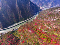 Vehicles drive on the Guzhao water highway in Xingshan County, Yichang City, Central China's Hubei Province, on December 18, 2024. (