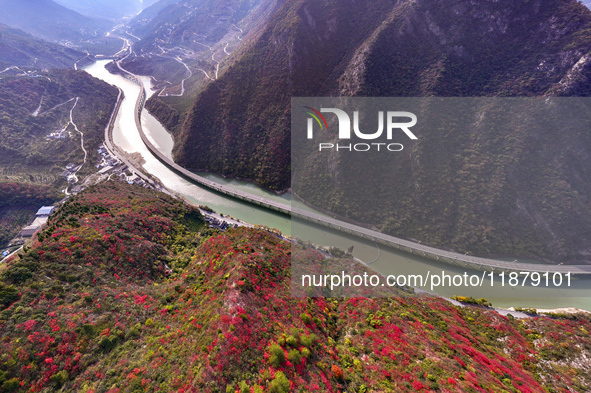 Vehicles drive on the Guzhao water highway in Xingshan County, Yichang City, Central China's Hubei Province, on December 18, 2024. 