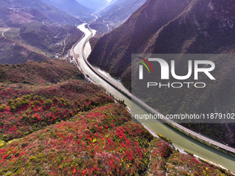 Vehicles drive on the Guzhao water highway in Xingshan County, Yichang City, Central China's Hubei Province, on December 18, 2024. (