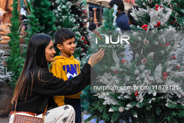 A mother and child check out Christmas trees at a marketplace ahead of Christmas in Kolkata, India, on December 18, 2024. 