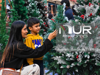 A mother and child check out Christmas trees at a marketplace ahead of Christmas in Kolkata, India, on December 18, 2024. (