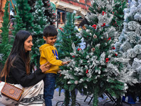 A mother and child check out Christmas trees at a marketplace ahead of Christmas in Kolkata, India, on December 18, 2024. (