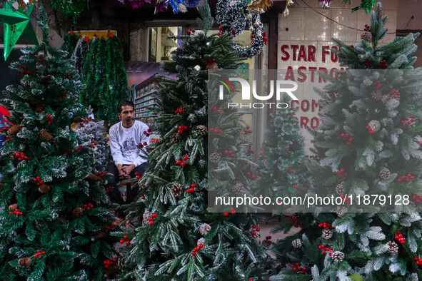 A shop sells Christmas trees at a market ahead of Christmas in Kolkata, India, on December 18, 2024. 