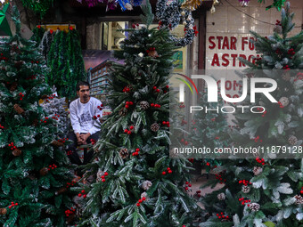 A shop sells Christmas trees at a market ahead of Christmas in Kolkata, India, on December 18, 2024. (