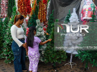 A mother and child check out Christmas trees at a marketplace ahead of Christmas in Kolkata, India, on December 18, 2024. (