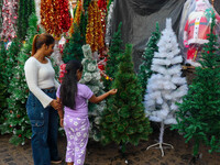 A mother and child check out Christmas trees at a marketplace ahead of Christmas in Kolkata, India, on December 18, 2024. (