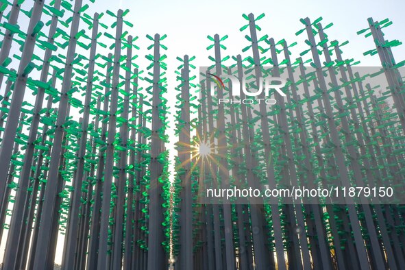 More than 30,000 green plastic beer bottles form a ''beer jungle'' by Tangdao Bay in the West Coast New District of Qingdao, Shandong provin...