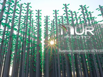 More than 30,000 green plastic beer bottles form a ''beer jungle'' by Tangdao Bay in the West Coast New District of Qingdao, Shandong provin...