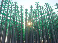 More than 30,000 green plastic beer bottles form a ''beer jungle'' by Tangdao Bay in the West Coast New District of Qingdao, Shandong provin...