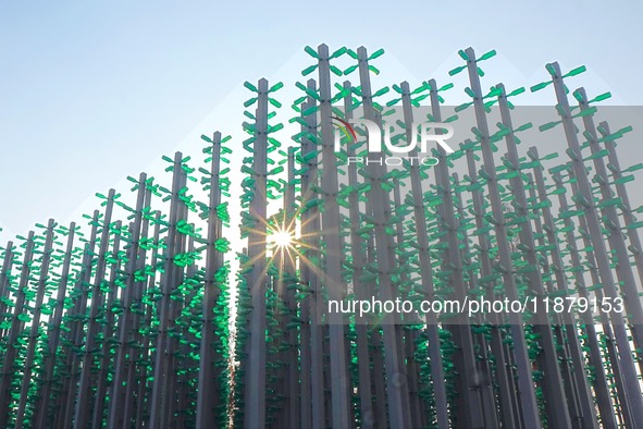 More than 30,000 green plastic beer bottles form a ''beer jungle'' by Tangdao Bay in the West Coast New District of Qingdao, Shandong provin...