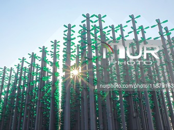 More than 30,000 green plastic beer bottles form a ''beer jungle'' by Tangdao Bay in the West Coast New District of Qingdao, Shandong provin...