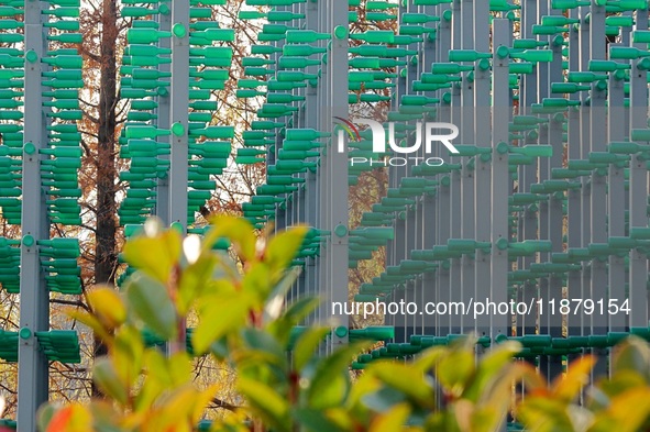 More than 30,000 green plastic beer bottles form a ''beer jungle'' by Tangdao Bay in the West Coast New District of Qingdao, Shandong provin...