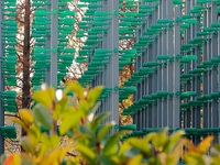 More than 30,000 green plastic beer bottles form a ''beer jungle'' by Tangdao Bay in the West Coast New District of Qingdao, Shandong provin...