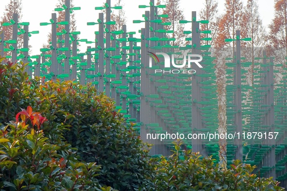 More than 30,000 green plastic beer bottles form a ''beer jungle'' by Tangdao Bay in the West Coast New District of Qingdao, Shandong provin...