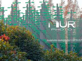 More than 30,000 green plastic beer bottles form a ''beer jungle'' by Tangdao Bay in the West Coast New District of Qingdao, Shandong provin...