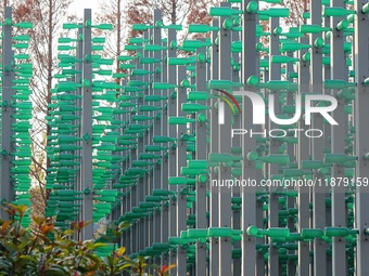 More than 30,000 green plastic beer bottles form a ''beer jungle'' by Tangdao Bay in the West Coast New District of Qingdao, Shandong provin...