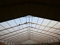 Labourers prepare a religious pandal or tent ahead of the upcoming Maha Kumbh Mela festival 2025 in Prayagraj, India, on December 18, 2024....