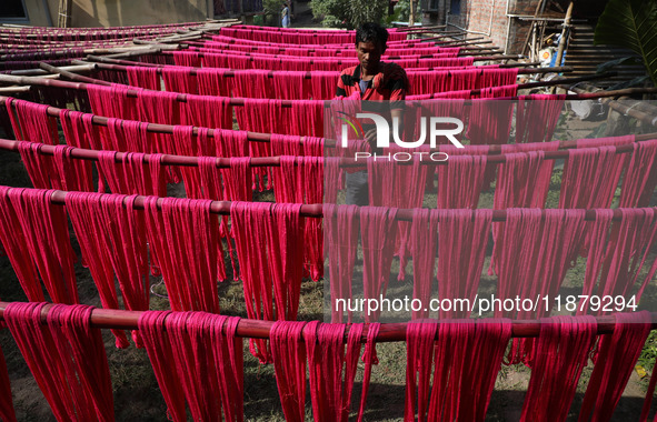 A weaver dries threads before weaving a saree, a traditional cloth used for women's clothing, at a workshop in Santipur town, about 80 km fr...