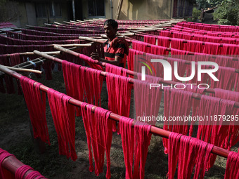 A weaver dries threads before weaving a saree, a traditional cloth used for women's clothing, at a workshop in Santipur town, about 80 km fr...