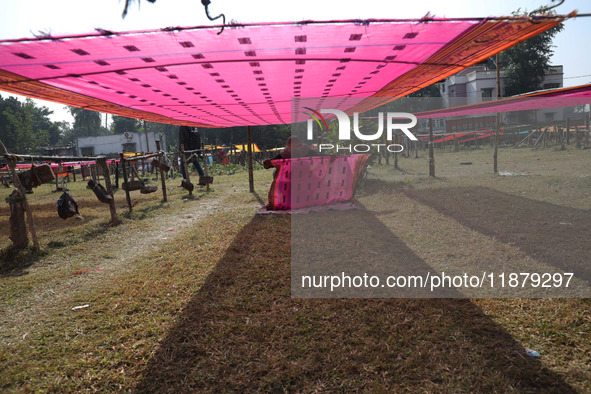 A weaver arranges a saree, a traditional cloth used for women's clothing, as it hangs out to dry after weaving it at a workshop in Santipur...