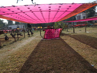 A weaver arranges a saree, a traditional cloth used for women's clothing, as it hangs out to dry after weaving it at a workshop in Santipur...