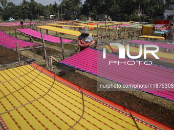 Weavers arrange sarees, a traditional cloth used for women's clothing, as they hang them out to dry after weaving at a workshop in Santipur...