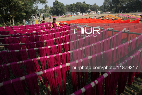 A weaver dries threads before weaving a saree, a traditional cloth used for women's clothing, at a workshop in Santipur town, about 80 km fr...