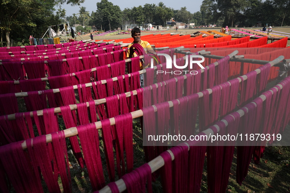 A weaver dries threads before weaving a saree, a traditional cloth used for women's clothing, at a workshop in Santipur town, about 80 km fr...