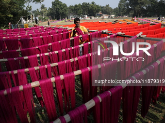 A weaver dries threads before weaving a saree, a traditional cloth used for women's clothing, at a workshop in Santipur town, about 80 km fr...