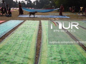 Weavers arrange sarees, a traditional cloth used for women's clothing, as they hang them out to dry after weaving at a workshop in Santipur...