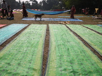 Weavers arrange sarees, a traditional cloth used for women's clothing, as they hang them out to dry after weaving at a workshop in Santipur...