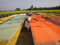 A weaver arranges a saree, a traditional cloth used for women's clothing, as it hangs out to dry after weaving it at a workshop in Santipur...