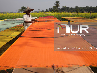 A weaver arranges a saree, a traditional cloth used for women's clothing, as it hangs out to dry after weaving it at a workshop in Santipur...