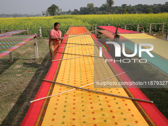 A weaver arranges a saree, a traditional cloth used for women's clothing, as it hangs out to dry after weaving it at a workshop in Santipur...