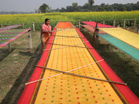 A weaver arranges a saree, a traditional cloth used for women's clothing, as it hangs out to dry after weaving it at a workshop in Santipur...