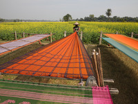 A weaver arranges a saree, a traditional cloth used for women's clothing, as it hangs out to dry after weaving it at a workshop in Santipur...