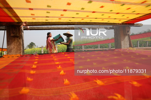 Weavers arrange a saree, a traditional cloth used for women's clothing, as it hangs out to dry after being woven at a workshop in Santipur t...