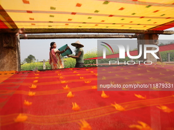 Weavers arrange a saree, a traditional cloth used for women's clothing, as it hangs out to dry after being woven at a workshop in Santipur t...