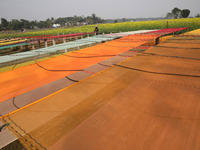 A weaver arranges a saree, a traditional cloth used for women's clothing, as it hangs out to dry after weaving it at a workshop in Santipur...