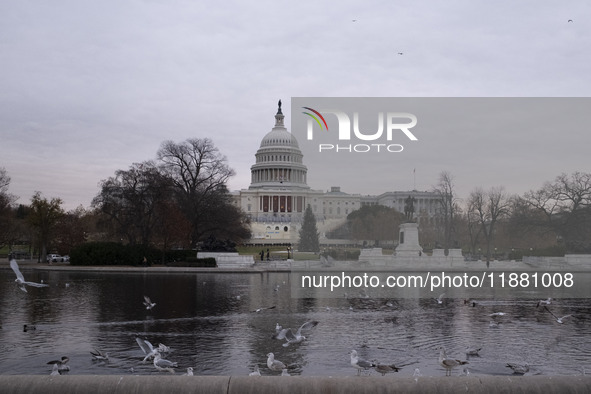 Birds are seen in the Capitol Reflecting Pool in front of the US Capitol Building in Washington DC, on December 18, 2024. The Capitol Reflec...