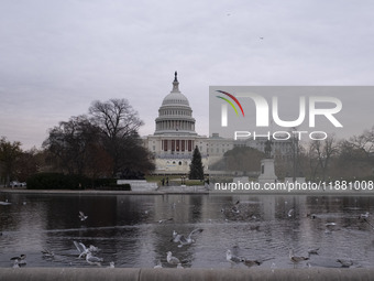 Birds are seen in the Capitol Reflecting Pool in front of the US Capitol Building in Washington DC, on December 18, 2024. The Capitol Reflec...