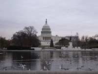 Birds are seen in the Capitol Reflecting Pool in front of the US Capitol Building in Washington DC, on December 18, 2024. The Capitol Reflec...